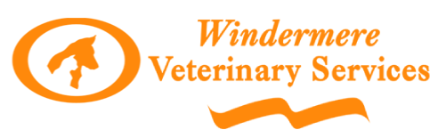 Veterinarians in Windermere | Windermere Veterinary Services