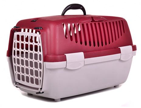 Plastic dog crate