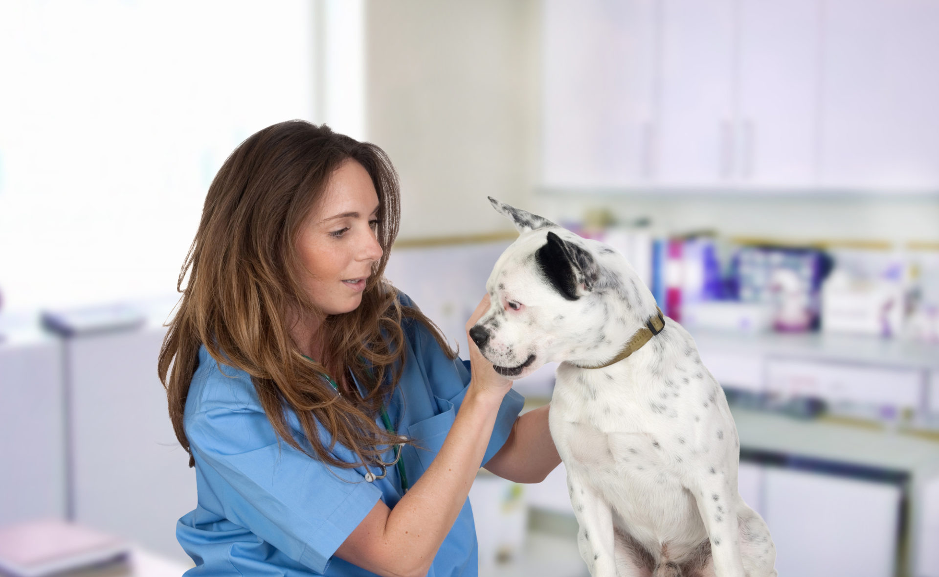 Vet with Dog