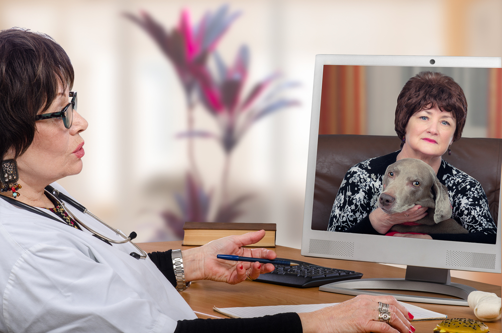 Telehealth vet provides a prognosis