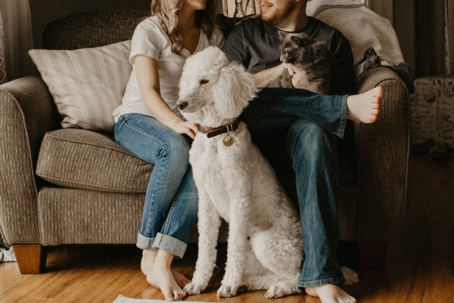 Couple sitting with their dog on the couch
