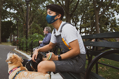 Person with two dogs on park bench