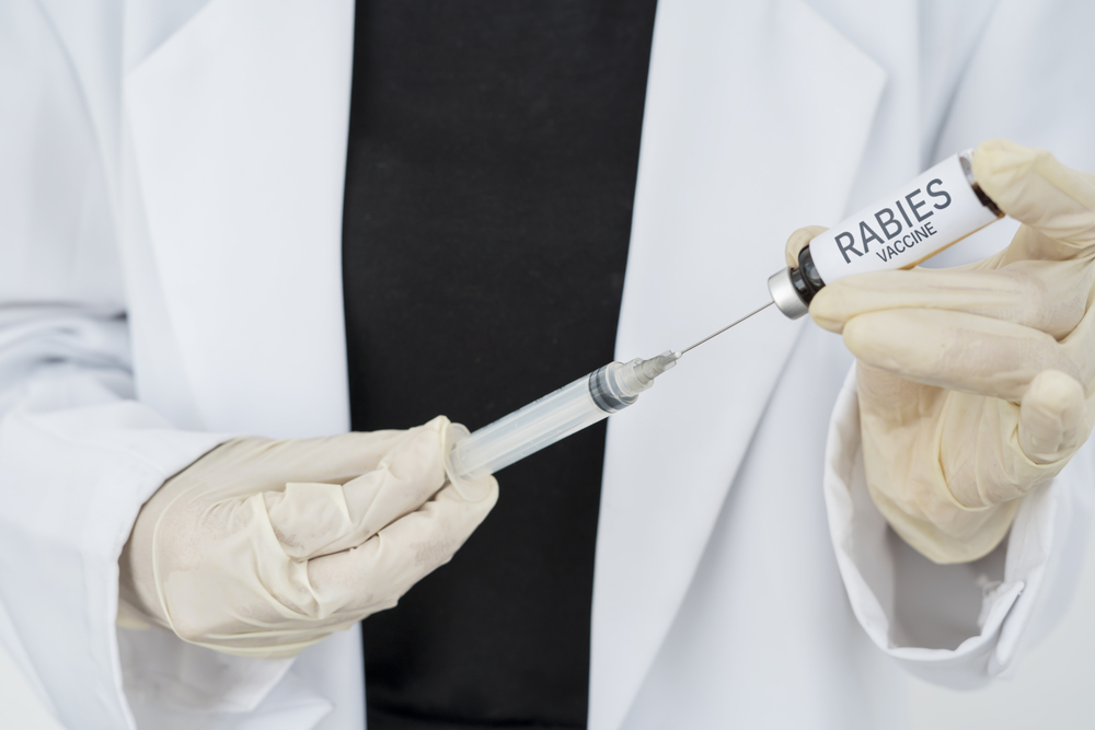 a veterinarian preparing a syringe of a rabies vaccine