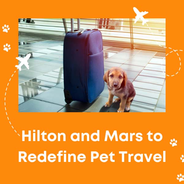 Hilton and mars to redefine pet travel