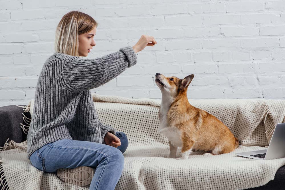 a woman sitting on a couch giving her dog a treat