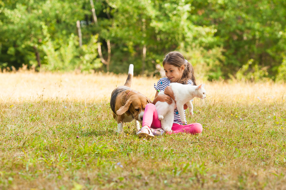 A young girl plays with a dog and a kitten