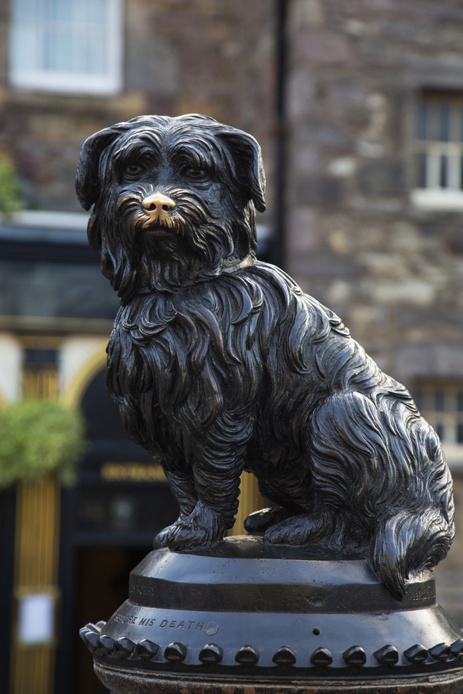 Grey friars bobby famous scottish dog statue