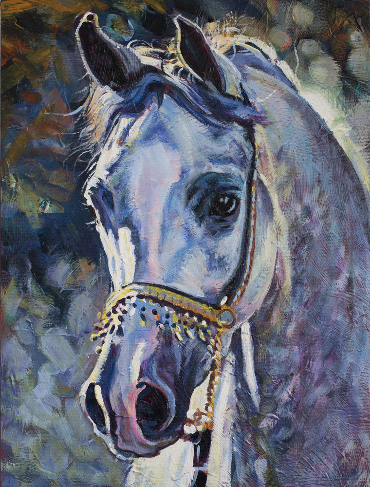 White Arabian horse head portrait painting original art