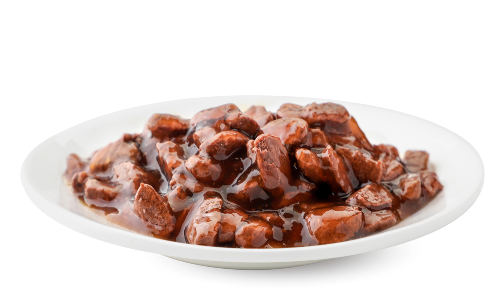 Cat food in a bowl close-up on a white background
