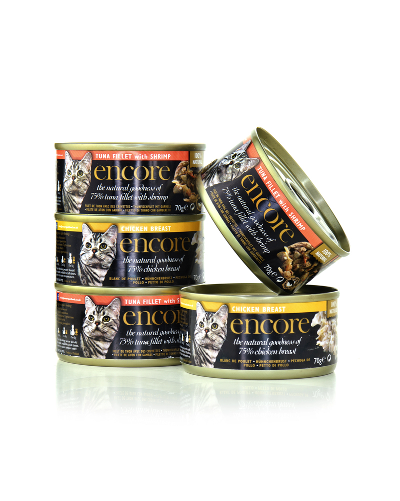 Encore Cat Food Editorial