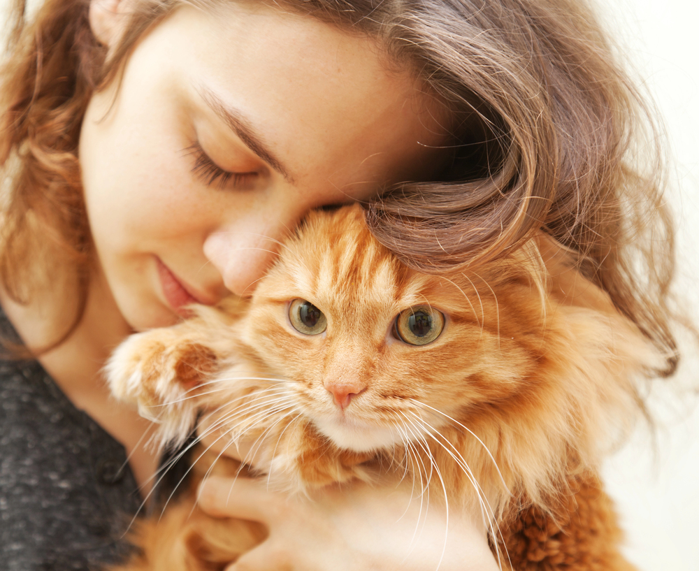 Portrait of beautiful young woman 20 years with a fluffy red cat