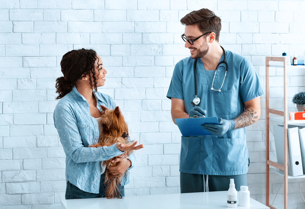 Veterinarian and pet owner with Yorkshire terrier