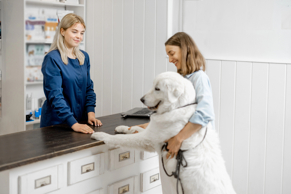 Woman with big white dog in veterinary clinic