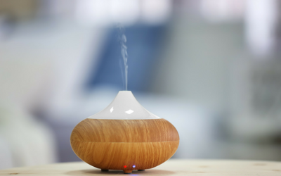 image for Essential Oil Diffusers and Your Pet