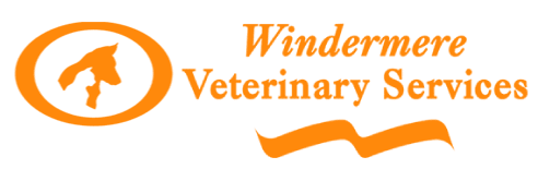 logo for windermere veterinary services