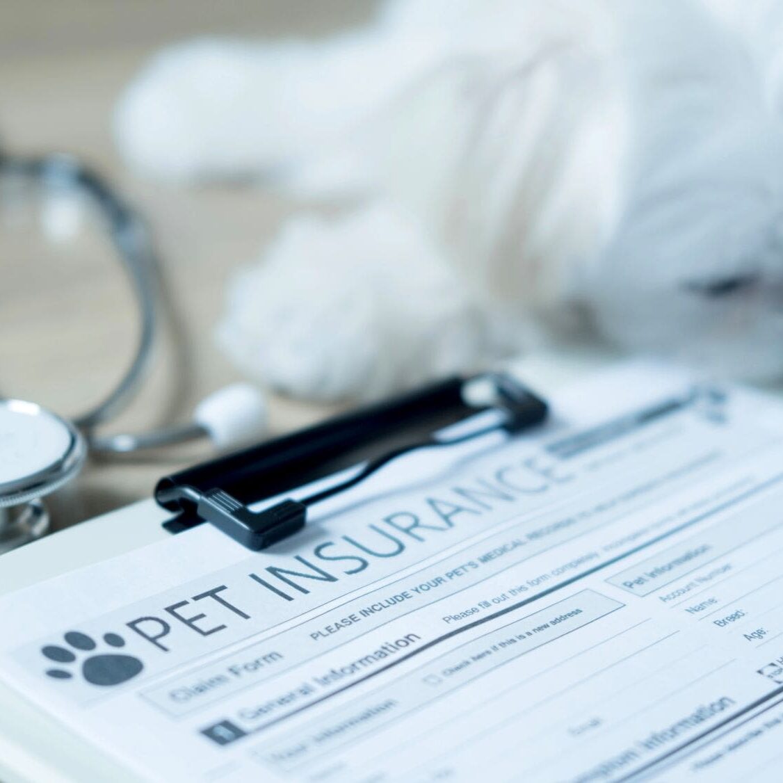 Pet Insurance Form