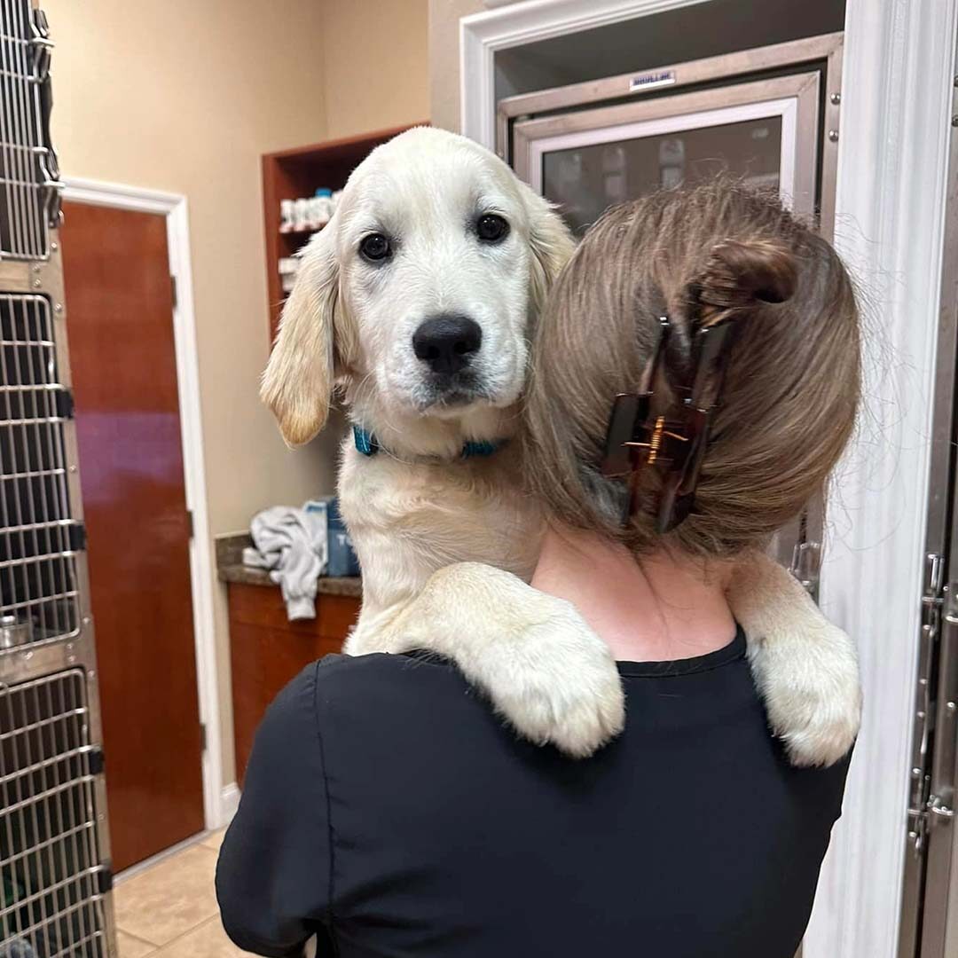 technician holding a white puppy up over her shoulders